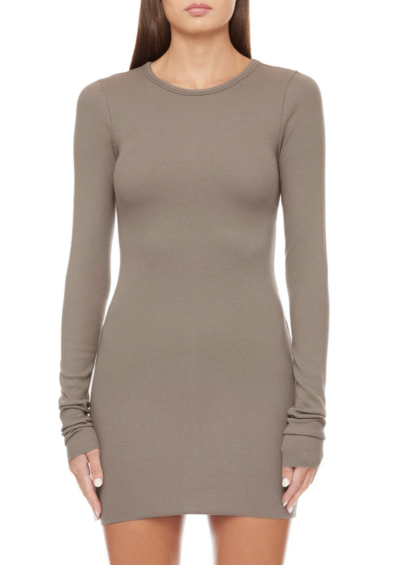 Long Sleeve Crewneck Dress Mini - Clay - house of lolo