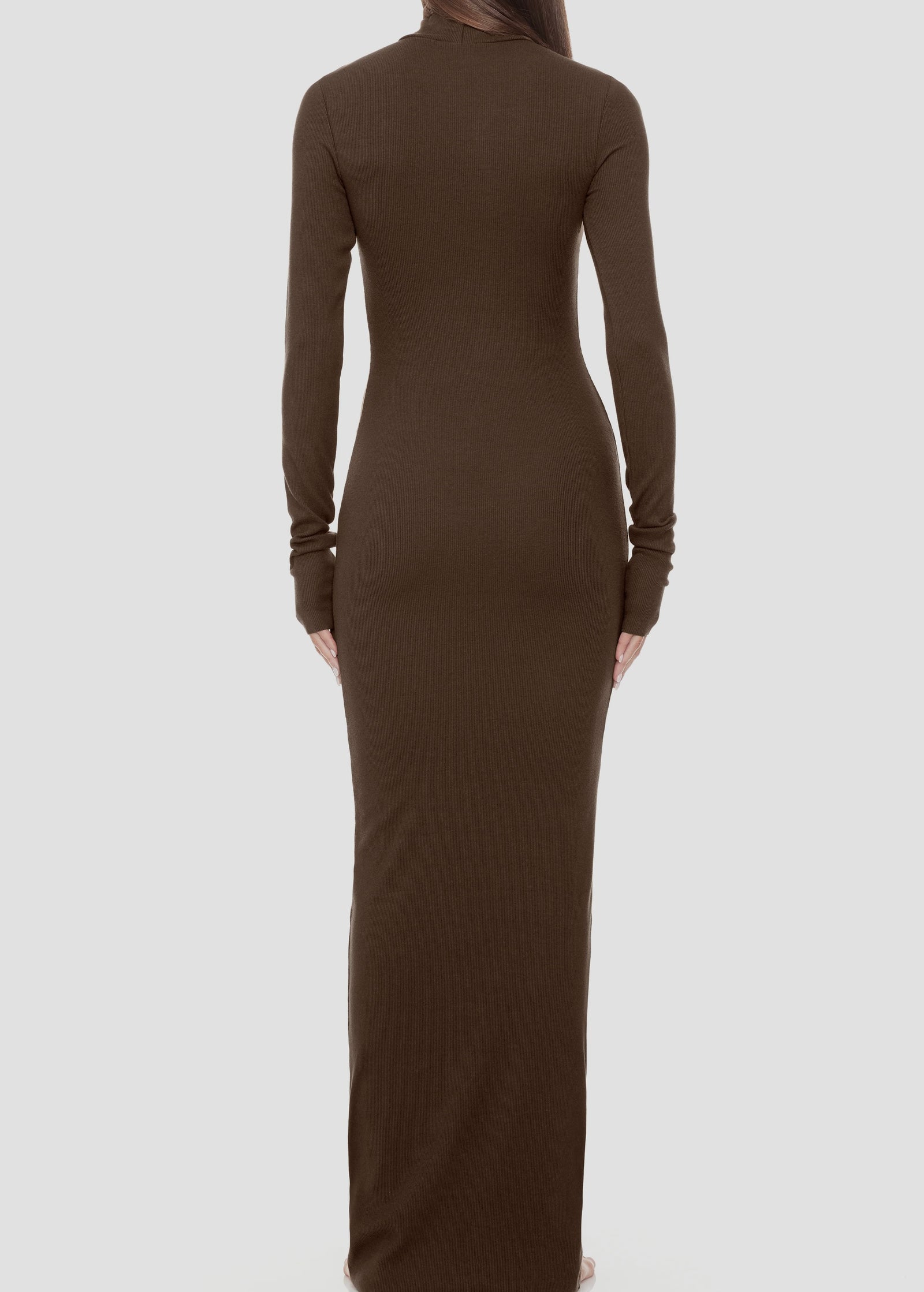 Long Sleeve Turtleneck Maxi